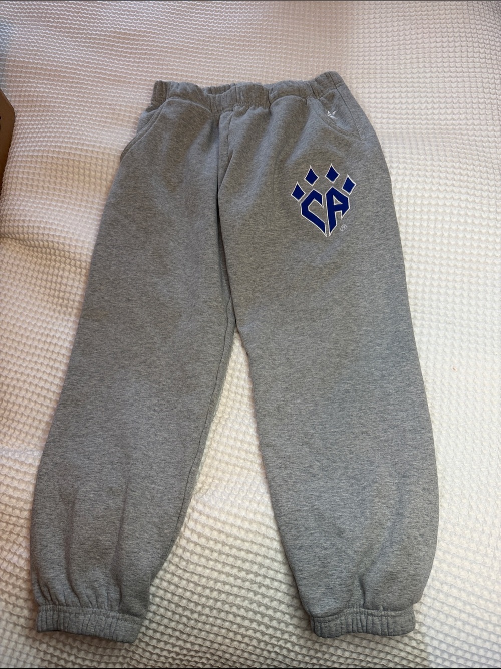 Kids Gray Sweat Joggers with Blue Crest Detail